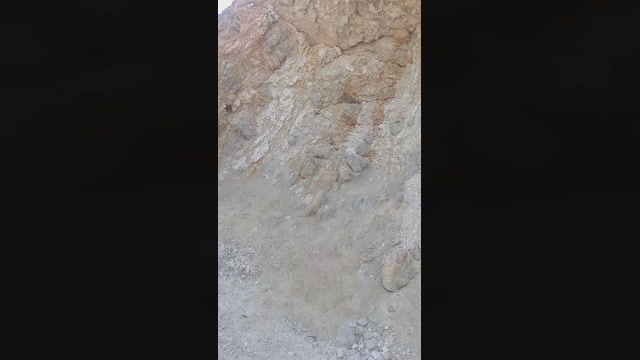 triporxs  22-05-2022